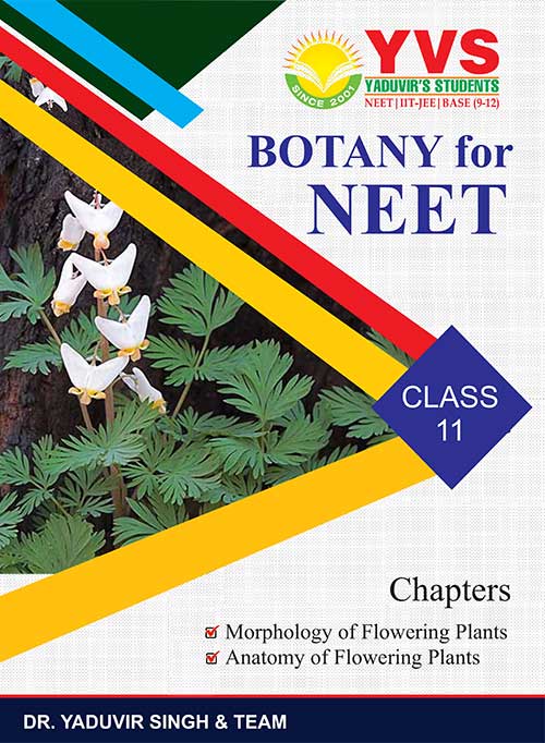 NEET Online Coaching in Delhi